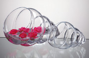 Vase SHELL